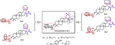 Calenduloside E Analogues Protecting H9c2 Cardiomyocytes Against H2O2-Induced Apoptosis: Design, Synthesis and Biological Evaluation